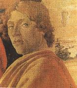 Sandro Botticelli Young man in a Yellow mantle (mk36) France oil painting artist